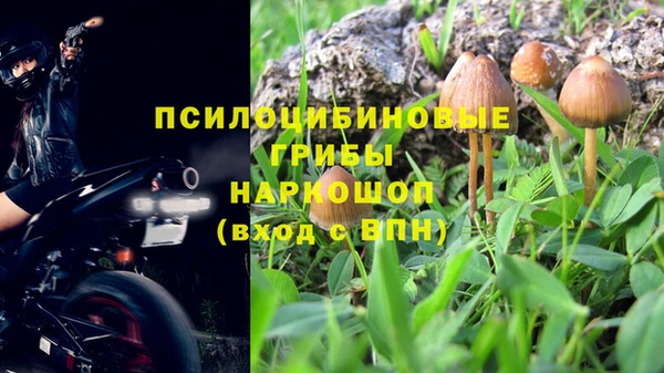 амф Алексин