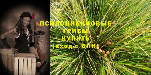 амф Алексин