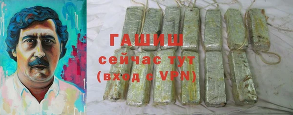 стаф Алзамай